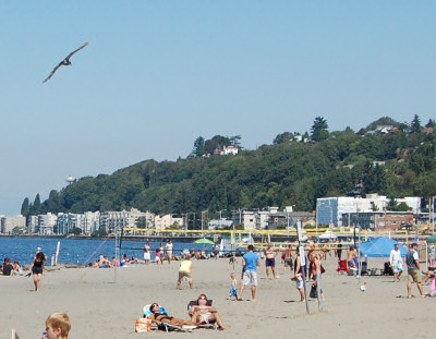 Alki Beach Volleyball