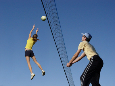 Volleyball Net